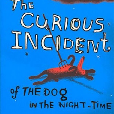 Review/ The Curious Incident of the Dog in the Night-time